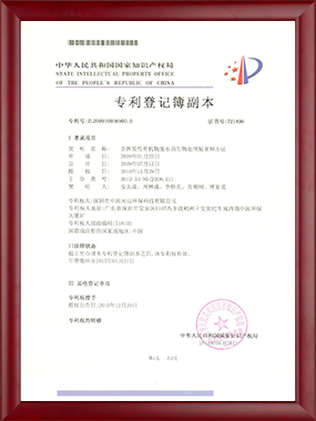 发明专利2
